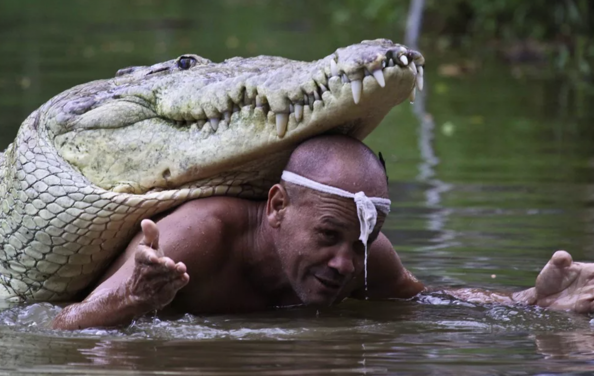 FIFY STORE Un pêcheur sauve la vie d'un crocodile - ils sont restés meilleurs amis pendant 22 ans 