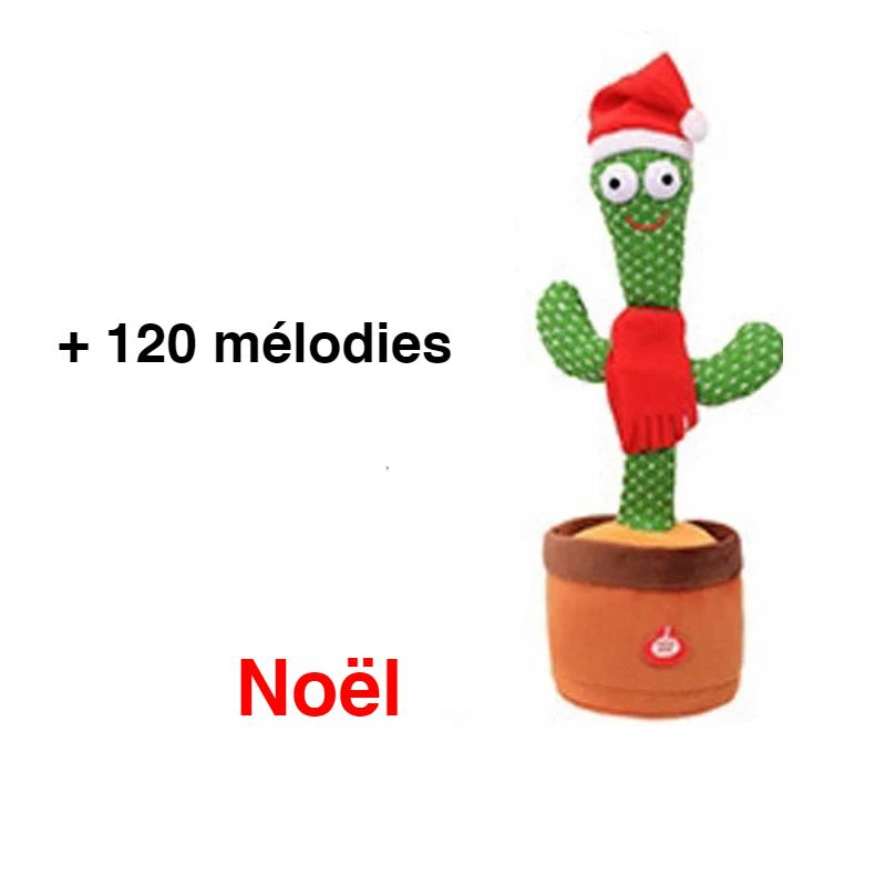 Cactus Noël