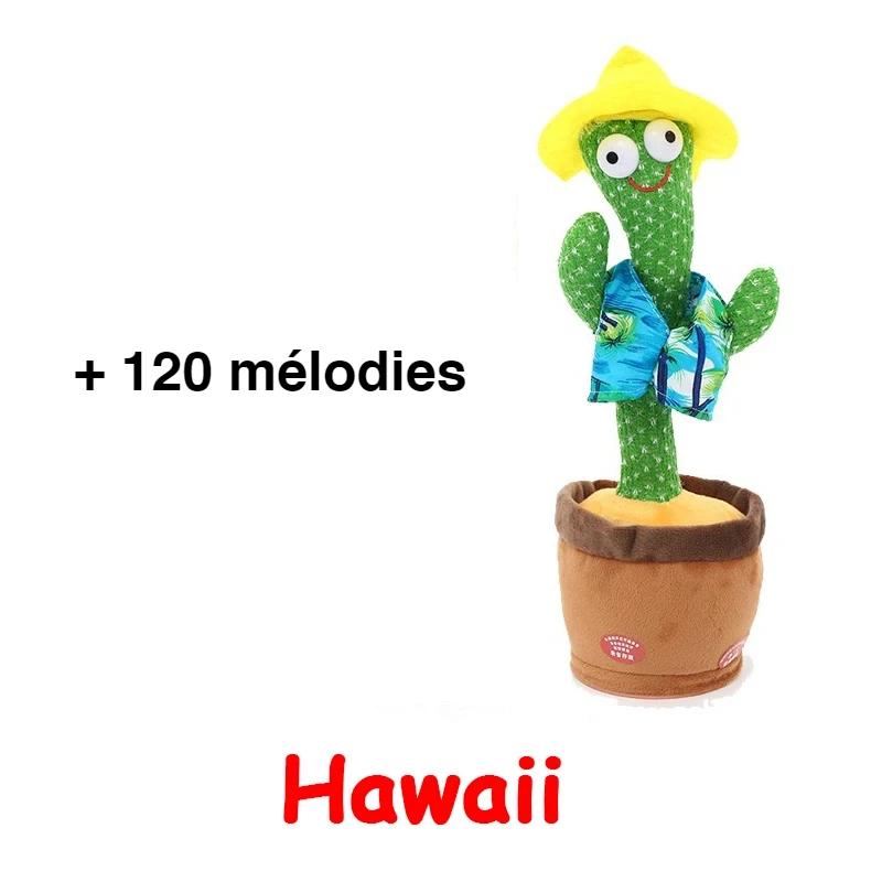 cactus Hawaii